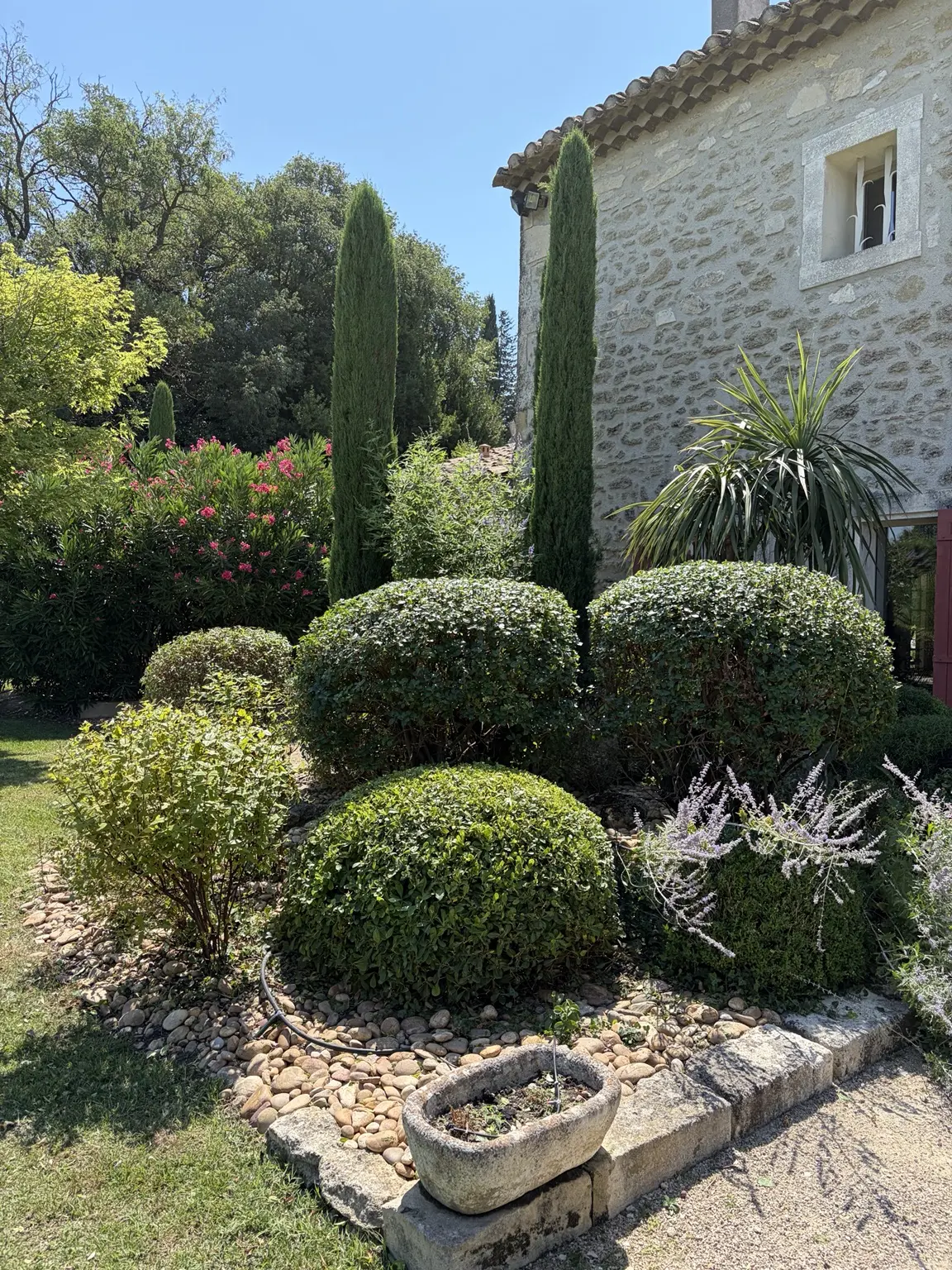 Jardin provençal structuré avec des arbustes taillés et des cyprès