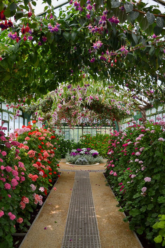 about-01 A stunning greenhouse in Brussels showcasing colorful flowers and lush greenery.